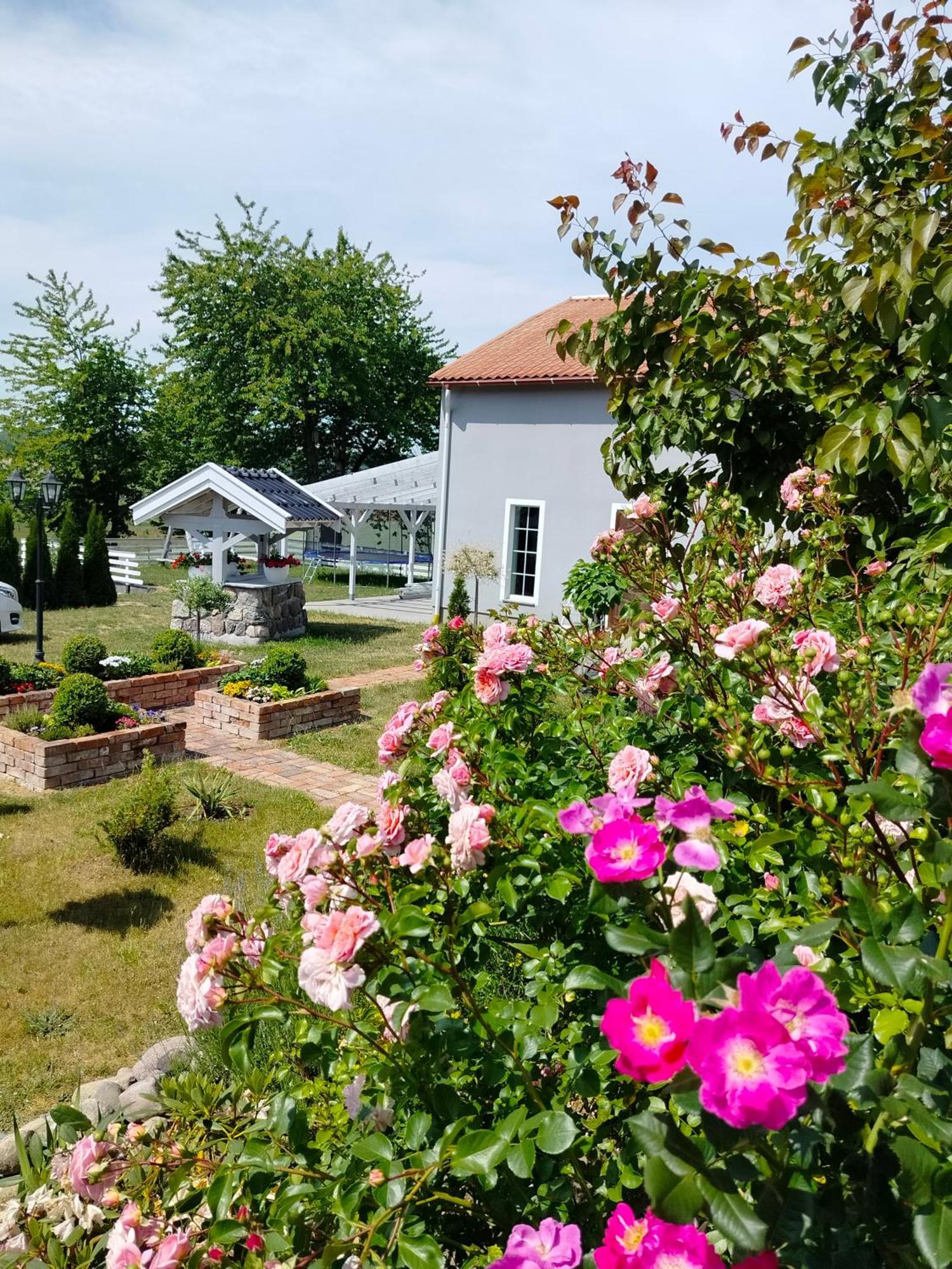 Agroturystyka Rybno Rybno  Exteriér fotografie
